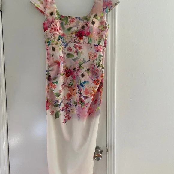 Matertinity dress, True Violet dress, UK 10, US 4-6| Color: Cream/Pink floral - Picture 2 of 8